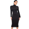 Long Sleeve Turtleneck Dress