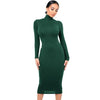 Long Sleeve Turtleneck Dress