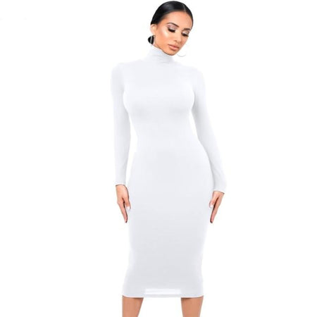 Long Sleeve Turtleneck Dress